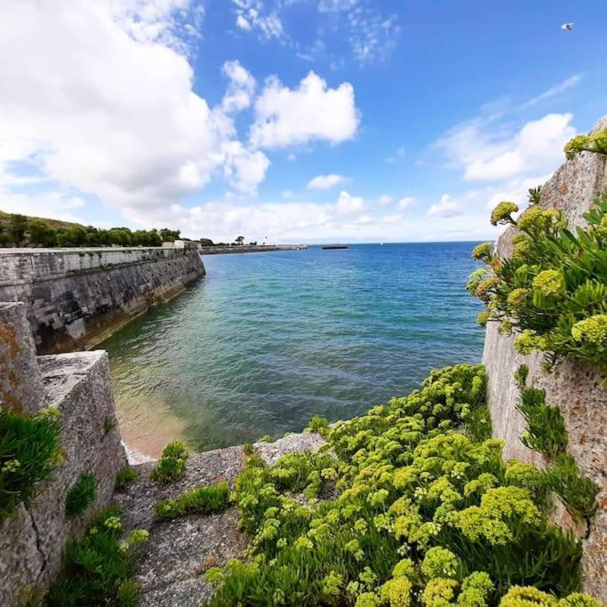 Delicieux Moment De Detente Au Coeur De Saint Martin De Re Luaran gambar