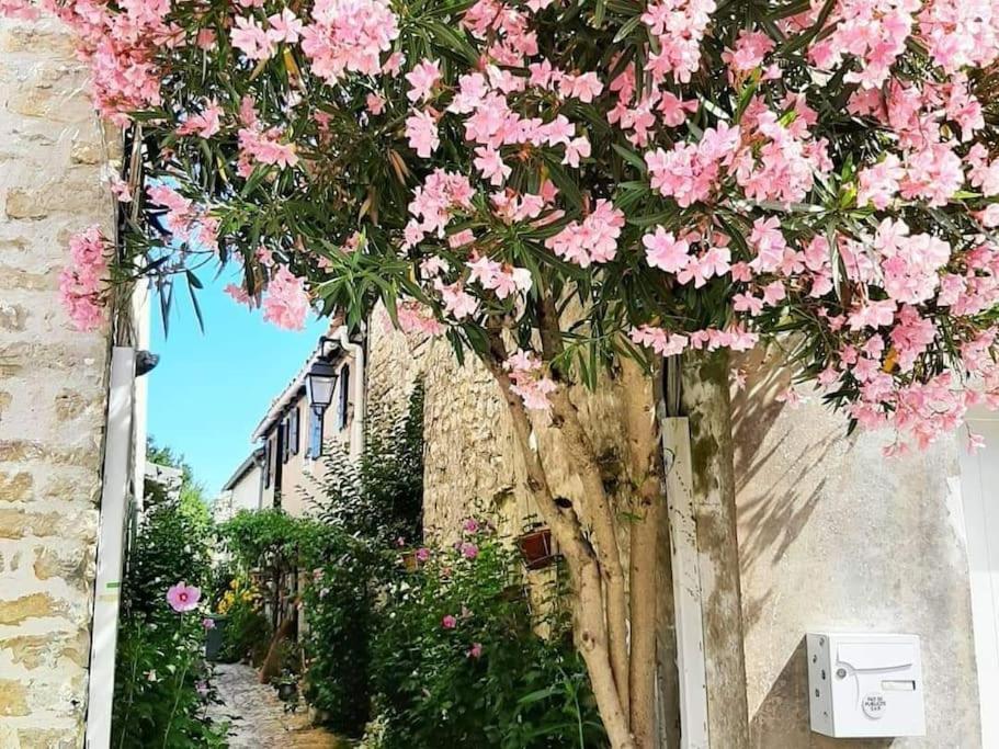 Delicieux Moment De Detente Au Coeur De Saint Martin De Re Luaran gambar